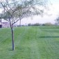 Sprinkler Maintenance